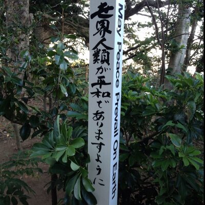 野良犬