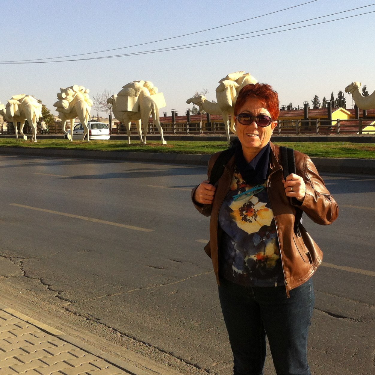 nbozkurt57's profile picture. 