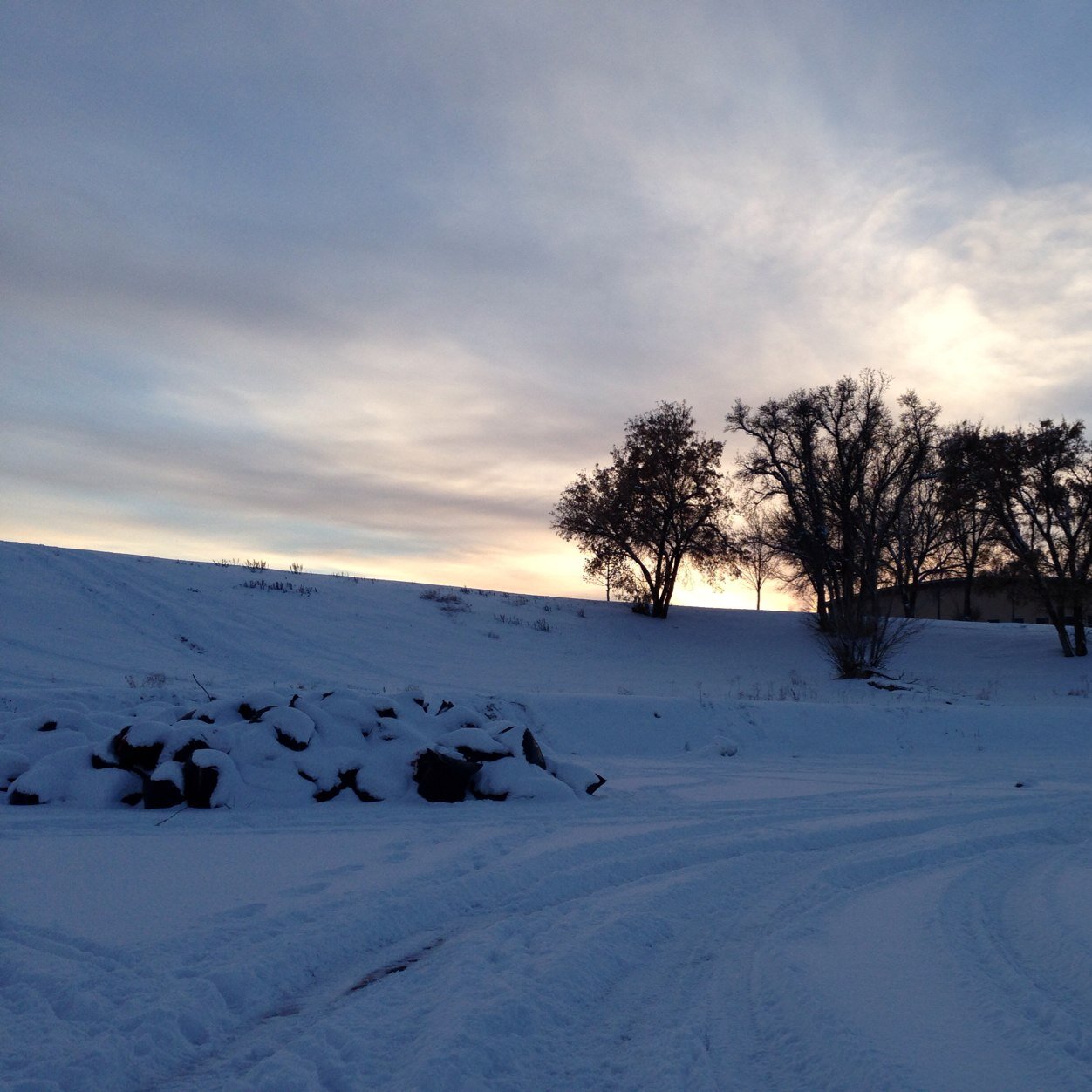 BrassKnucksy's profile picture. I know everyone on the Internet hates each other, now if you're willing to look past my faults I'll look past yours.