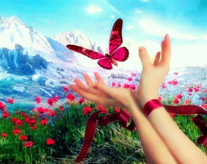 Ежедневные умные и смешные #цитаты,  #афоризмы, #статусы, #высказывания, #фразы, #ВзаимныйФалловинг, #FF