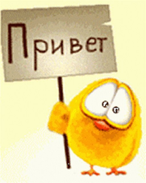 Привет привет!