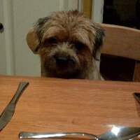 Alan Watson (@ardnacuach) 's Twitter Profile