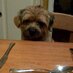 Alan Watson (@ardnacuach) Twitter profile photo Alan Watson (@ardnacuach) Twitter profile photo