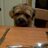 Ardnacuach's profile image