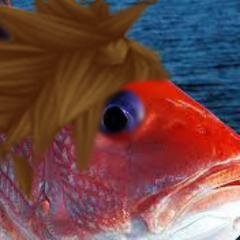 AM SORA AM SNAPPER!