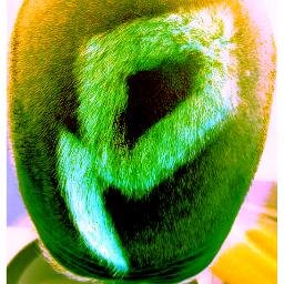 Nature, Family, Friends, The Prodigy, Health, Music, Respect, Sex n Love!