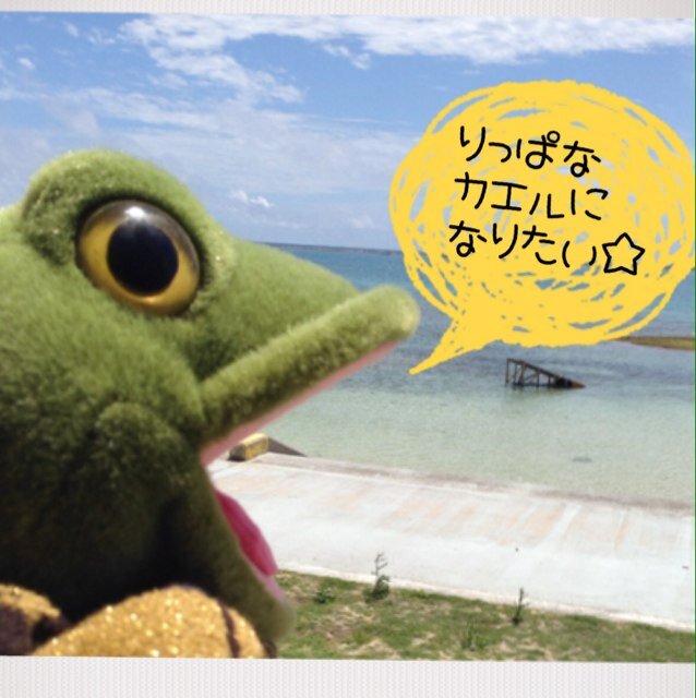音楽が好き。コスメが好き。買い物が好き。YouTube見るの好き。 夢烏(輸烏) で ぱいろ。 長崎生まれの長崎育ちの福岡民