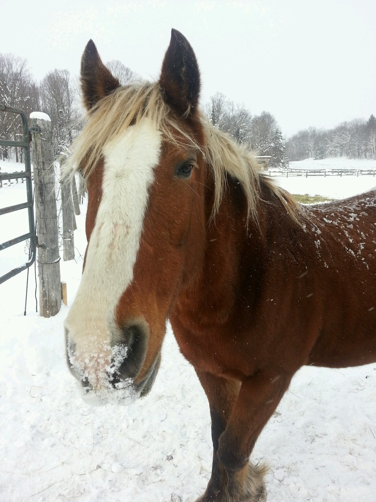 Ashaluna_'s profile picture. 