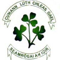Newry Shamrocks GAA (@shamrocksnewry) 's Twitter Profile