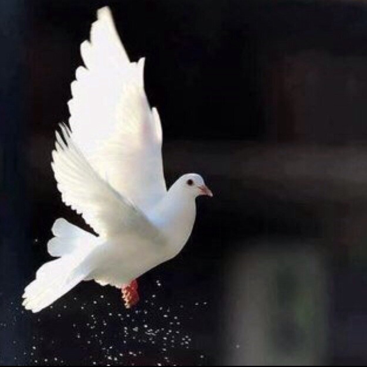 اللهم اجعل سيرتي حسنه بين خلقك وفي حياتي وبعد موتي #الخاص ممنوع ~