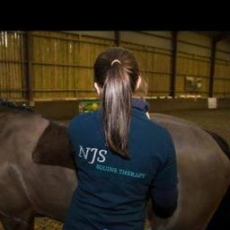 NJS Equine Therapy is run by Nicola Scott BSc (Hons) Dip ESMT. Providing Equine Sports Massage and Deep Oscillation Therapy