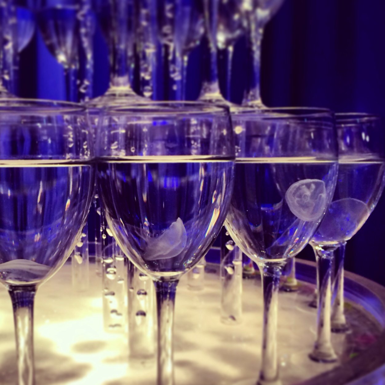 akane_quatre9's profile picture. カフェモカと抱き枕とアルコールが癒しです◇まったりからの急加速に最近ついていけません◇ネイルをするのが苦手で、ジャケ買いが得意です◇音楽と香りはないと困ります◇言葉から想像した景色に心を持っていかれるタイプの人間です