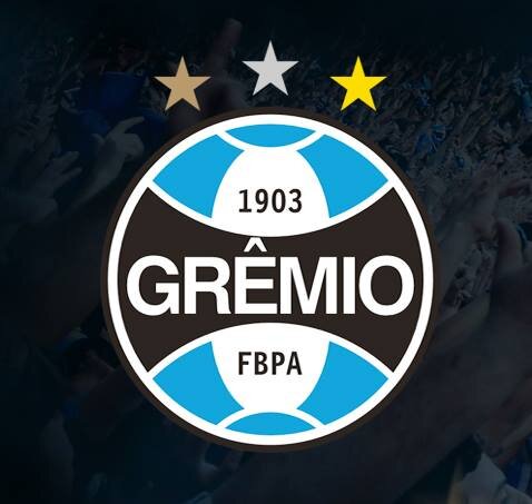 O Grêmio não tem uma torcida, o Grêmio tem uma nação ♥ @gremiooficial