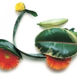 Hiiiiiiii friends