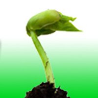 Wir sind ein Grow- und Headshop aus Berlin. Ihr findet bei uns alles was ihr zur erfolgreichen Pflanzenzucht benötigt.