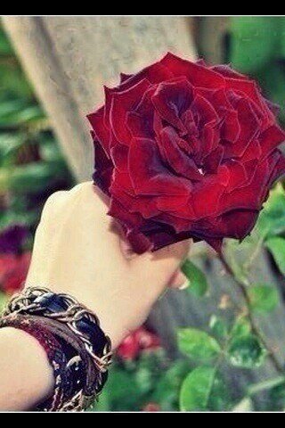 amooolahksa1's profile picture. 