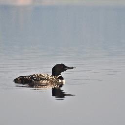 neu0002's profile picture. 