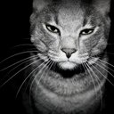 Daniel Savin  - @StrassePenner - Twitter