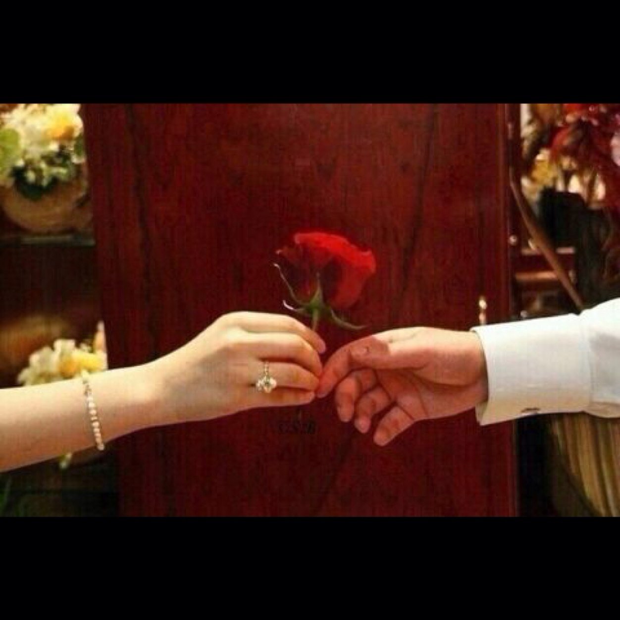 تغريداتي حروف مبعثرة تحكي ما في قلبي فشكرا لمن قرأ وابتسم وعذرا لمن قرأ وأصابه الألم ☺️