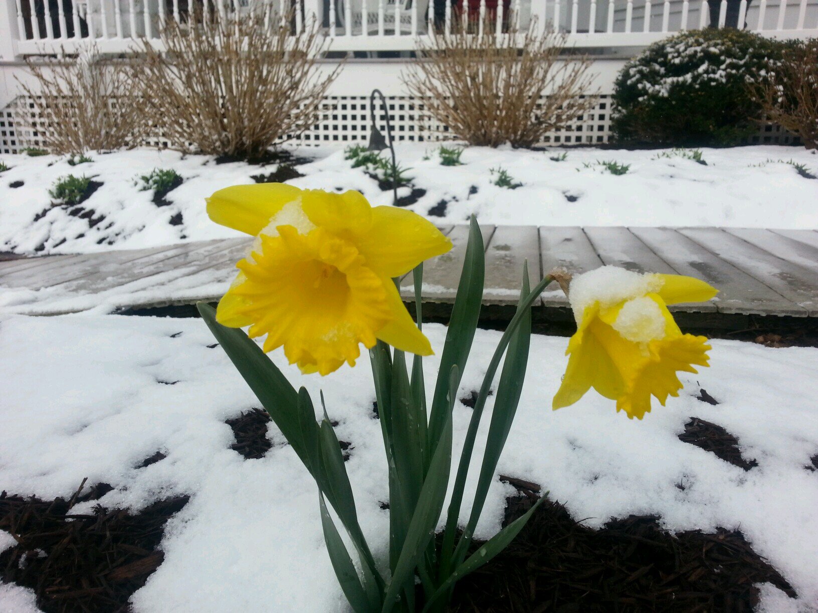 mthibedwards's profile picture. Mom of 3, Pediatric physical therapist; Lover of the beach and the arts