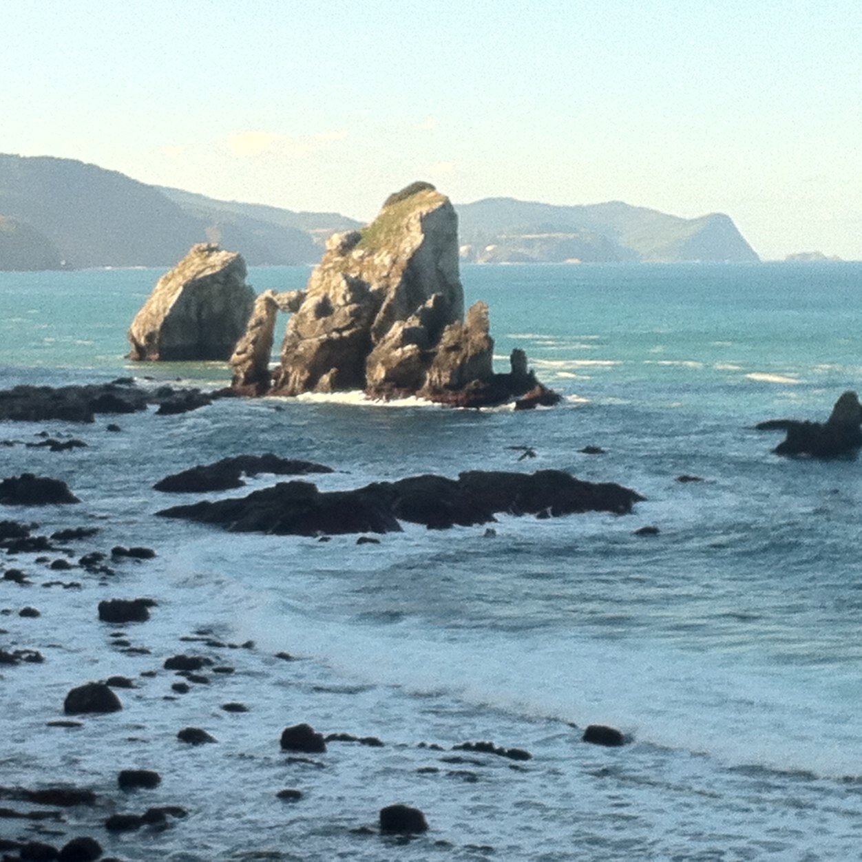 5chelobb's profile picture. 