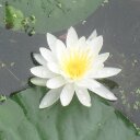 Jeni James - @atauthenticity - Twitter