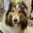 fumitan0122's profile image