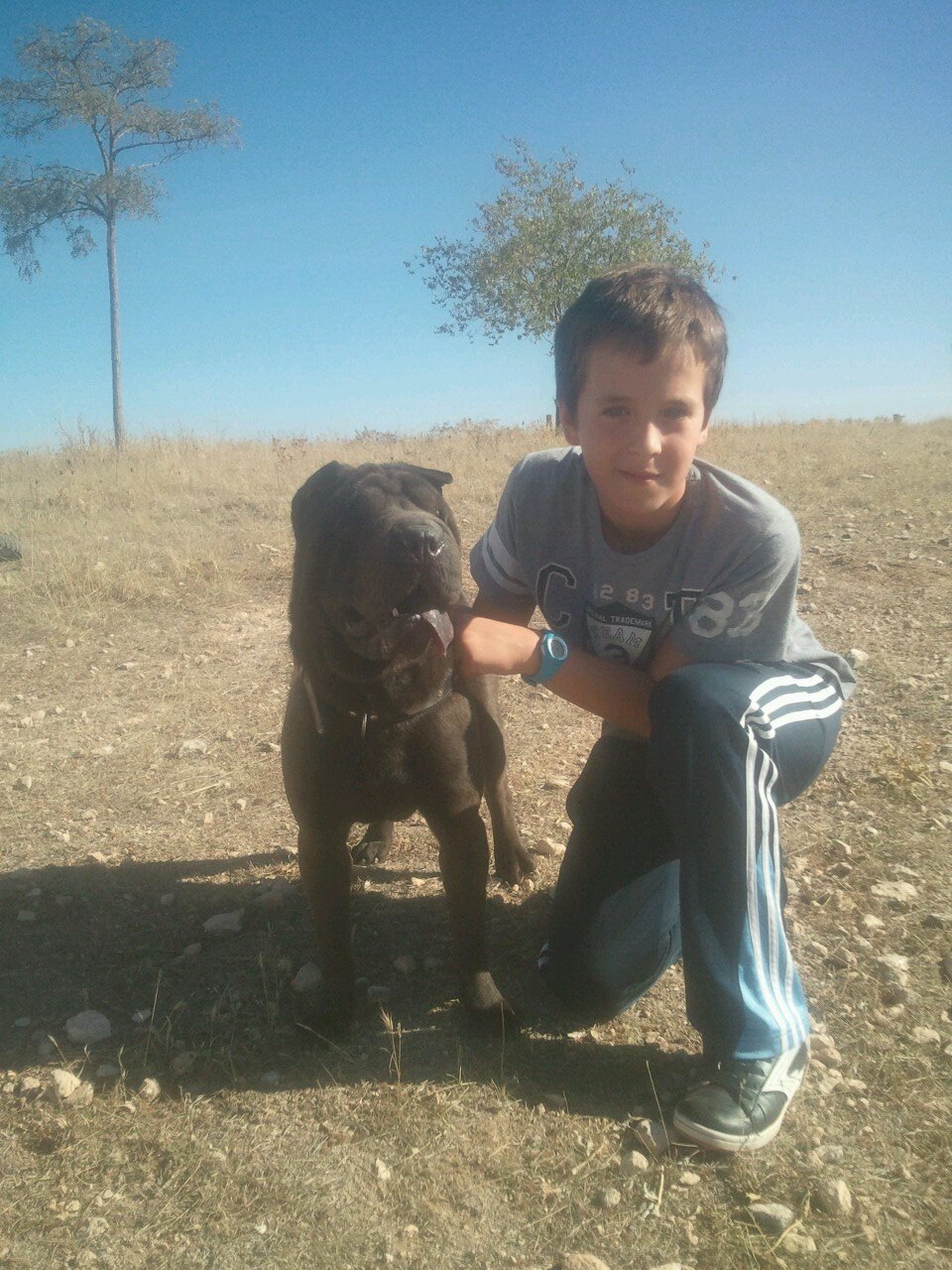 danicarras_99's profile picture. 