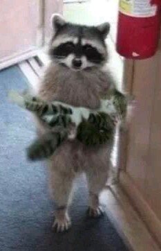 maryap_'s profile picture. Yo vine a que me prestaran una tacita de sal y aquí sigo, esperando a que dejen de hablar de sus cosas