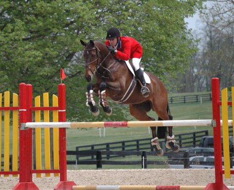 Stephen S. Bradley Eventing | Team SSB | Southern Edition Farm, The Plains, VA | ssbradleyeventing@gmail.com