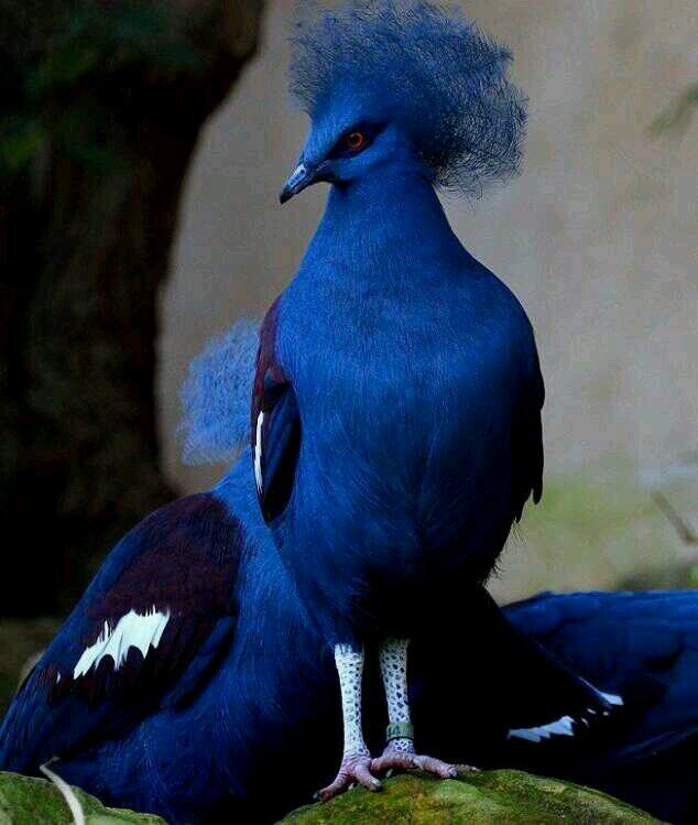 تابعتكم تابعو الحساب هذا جعلكم في الجنه @Flllw_f4j