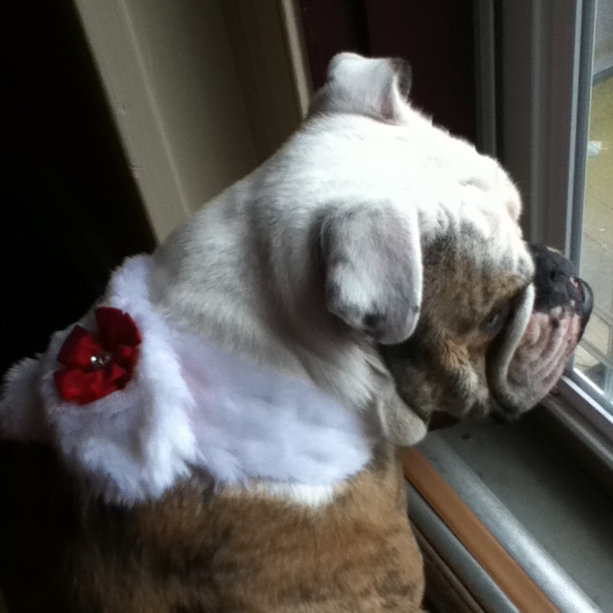 Swhtny's profile picture. 