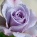 Najwa. (@najwa344) Twitter profile photo Najwa. (@najwa344) Twitter profile photo