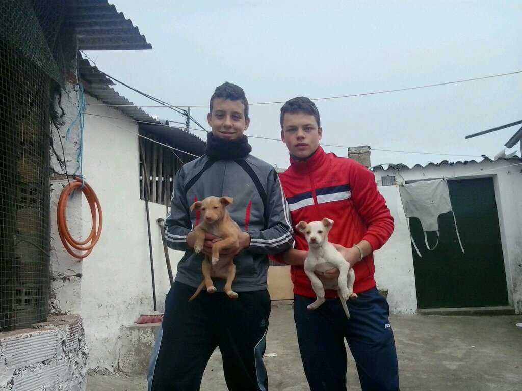 Desde el 2000 dando guerra pequeño pero maton me gusta jugar al futbol y ver el futbol bueno por eso SOY DEL ATLETI enamorado DEL BLANCO Y ROJO