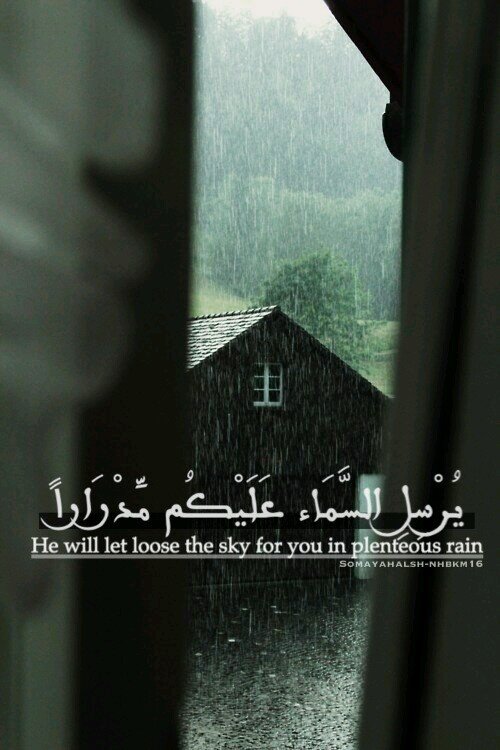 Instgram:tyftr