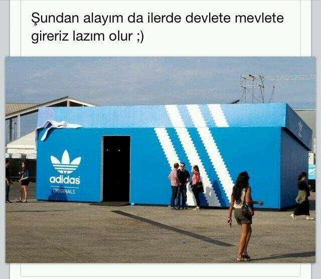 phasellis's profile picture. 