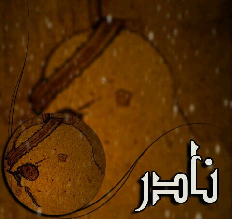 انااشهد اني ﻣن بلا الشوق امنت 
          بالواحد اللي كل ﻣا راد رايـد 

ادمنت اناحبك وفي شوفك ادمنت 
          ﯾاللي غـلاك اليوم لاشك زايد