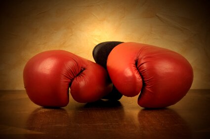 No Bullshit - Just Boxing