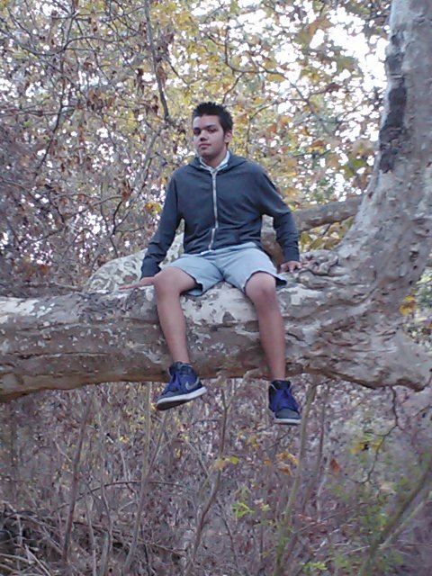 PsYch_VaNish's profile picture. 