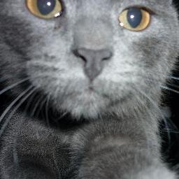Mwen enmew