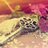 acikgozyasemin's profile image
