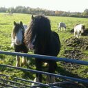 david hildreth - @rfpsurveys - Twitter