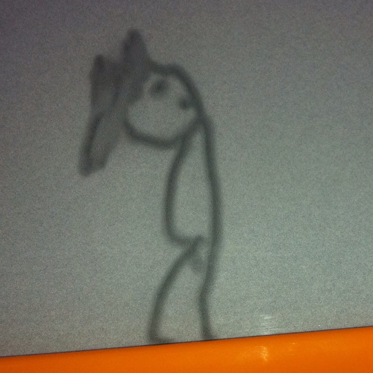 mcourtassol's profile picture. De la Mediterranée au Pacifique. De Nice-Matin aux Nouvelles Caledoniennes.