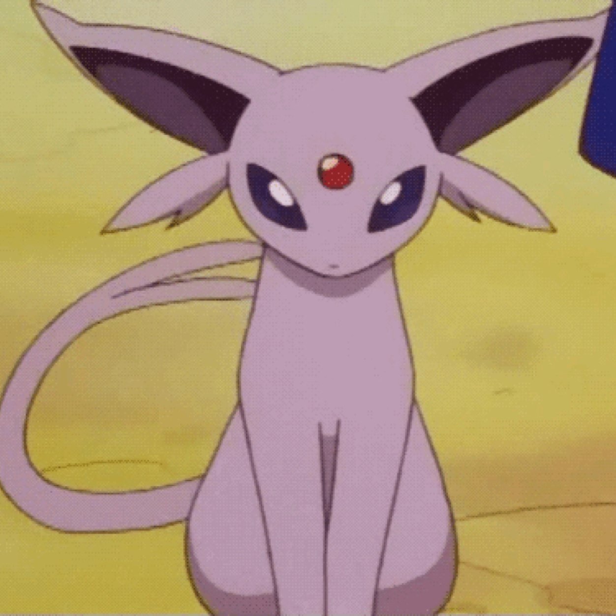 female//trainer- @trainer_ruby_ //no mate//pokemon rp
