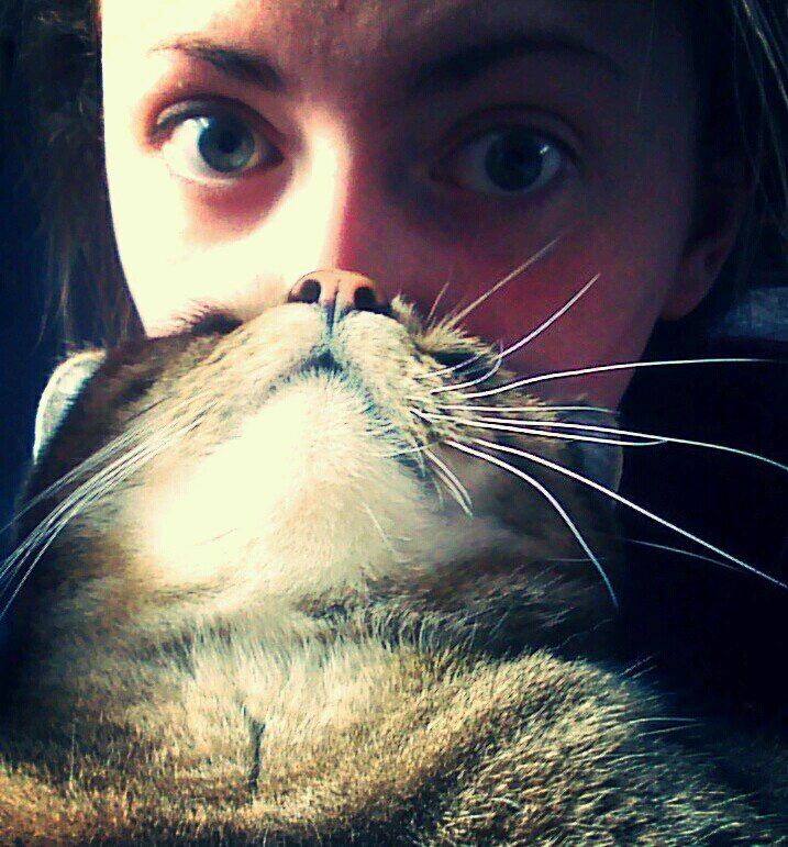 HashKnee's profile picture. Why did the chicken cross the mobius strip? To get to the same side.