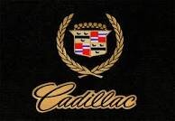 sarasiddique_3's profile picture. I'm 18 years old. My mom is my everything. Like being in style. In love with one & only passion i have that is cars. #UAE #LOVECARS #CRAZE