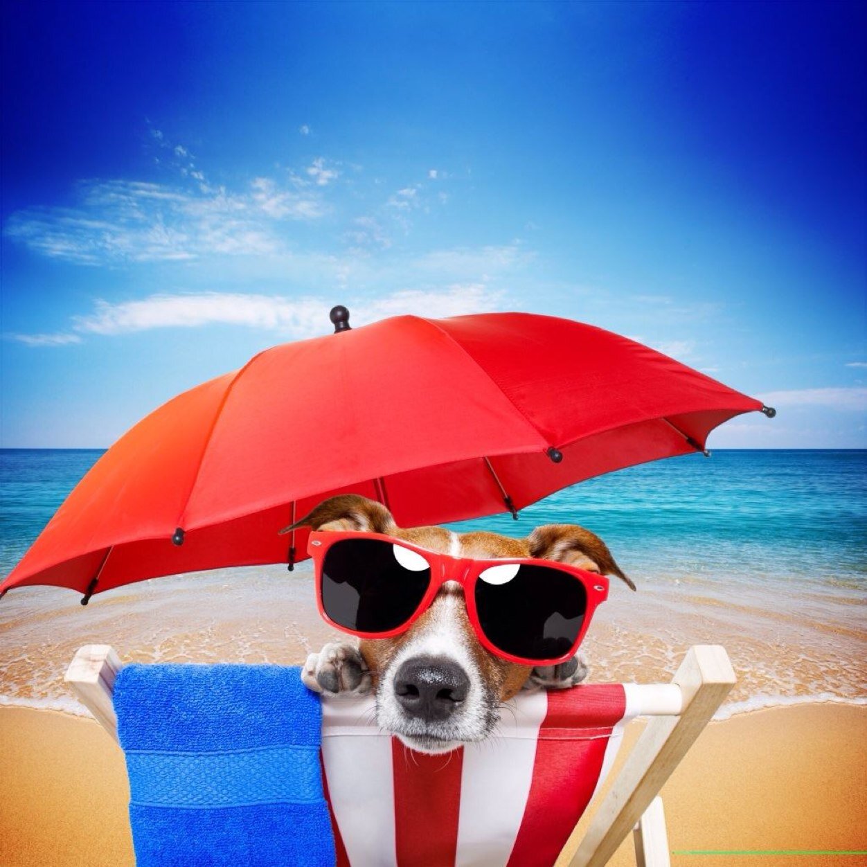 jm_moskal's profile picture. 