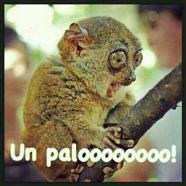 amante al futbol