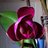 sjade126's profile image