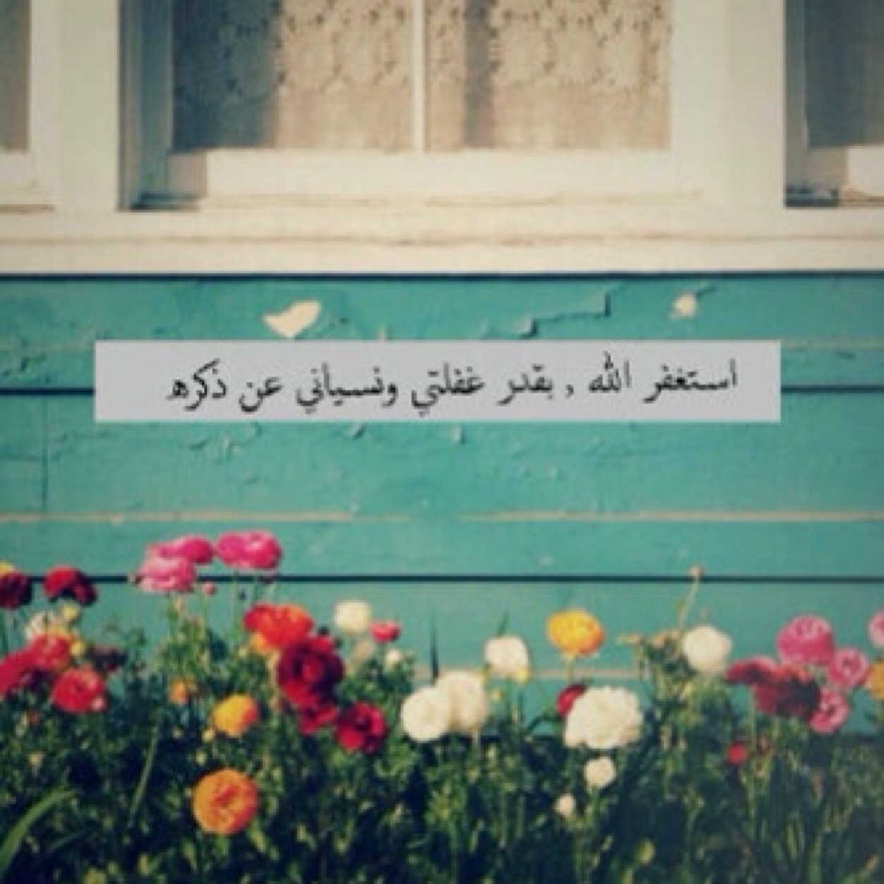 hadell_al9an3 Profile Picture